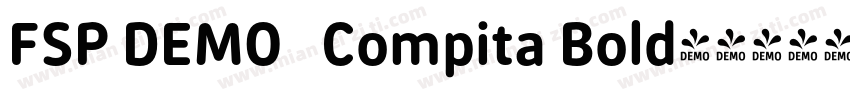 FSP DEMO   Compita Bold字体转换